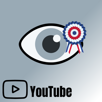 Vues YouTube [ FRANCE ] - Beeastar